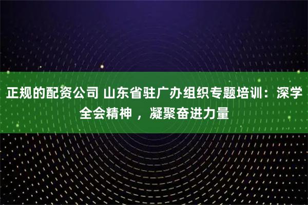 正规的配资公司 山东省驻广办组织专题培训：深学全会精神 ，凝聚奋进力量