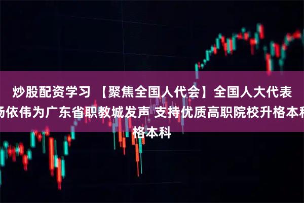 炒股配资学习 【聚焦全国人代会】全国人大代表汤依伟为广东省职教城发声 支持优质高职院校升格本科